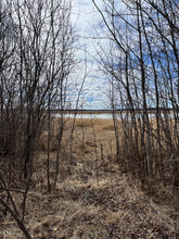 Load image into Gallery viewer, Balm of Gilead